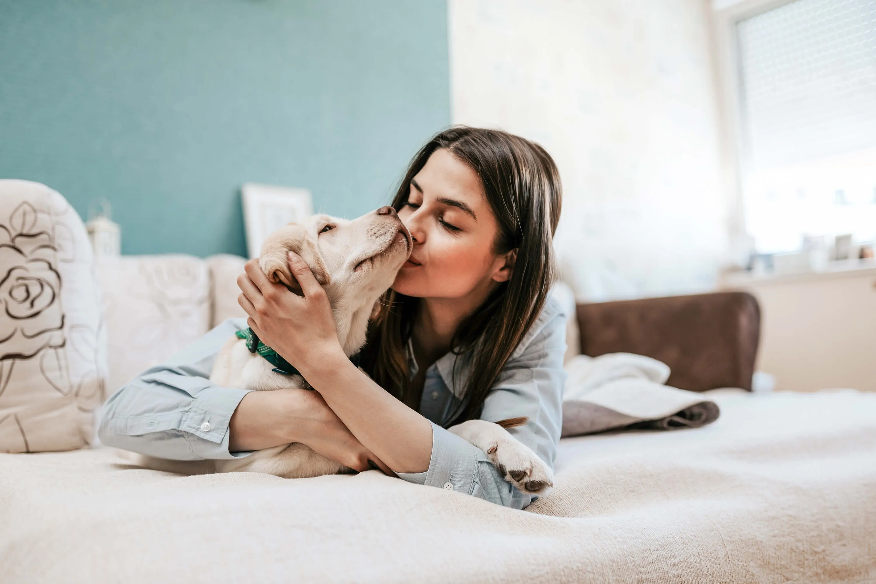 Frau küsst ihren Labrador — die Paulibox ist Teil des Alltags mit Hund