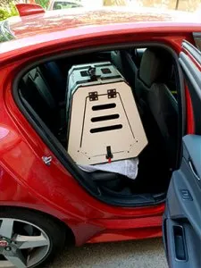 Hund sicher transportiert in der Paulibox