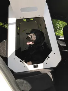 Labrador in XL Paulibox auf dem Rücksitz