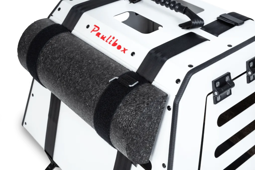 Fixierrolle der Paulibox — stabilisiert die Box auf der Rücksitzbank