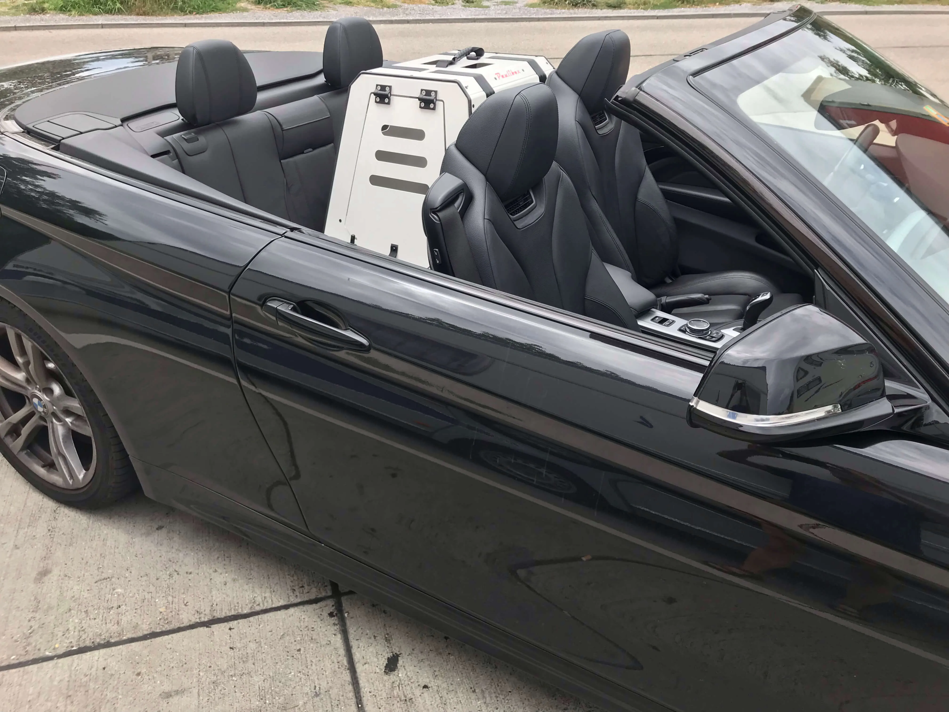 Paulibox auf dem Rücksitz eines BMW-Cabrios