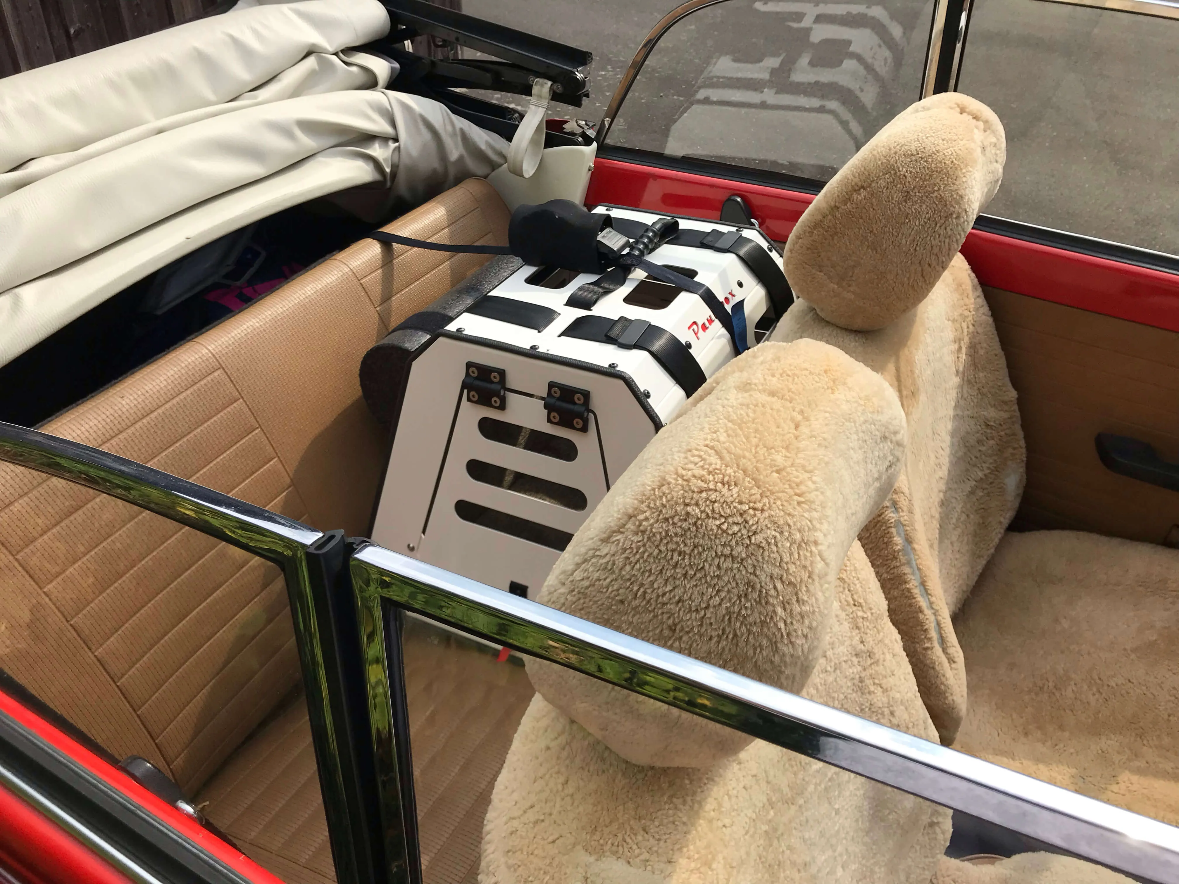 Paulibox auf einem Rücksitz — Detailansicht