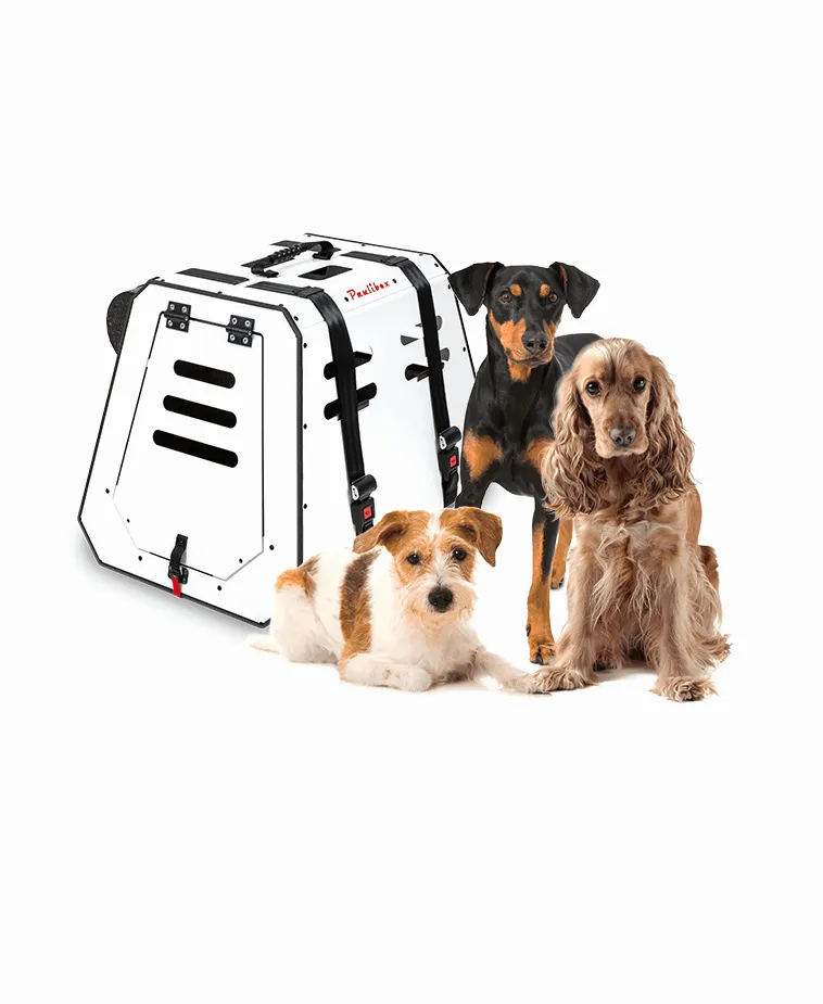 Paulibox L mit große hunde — crashgetestete Hundetransportbox mit ISOFIX