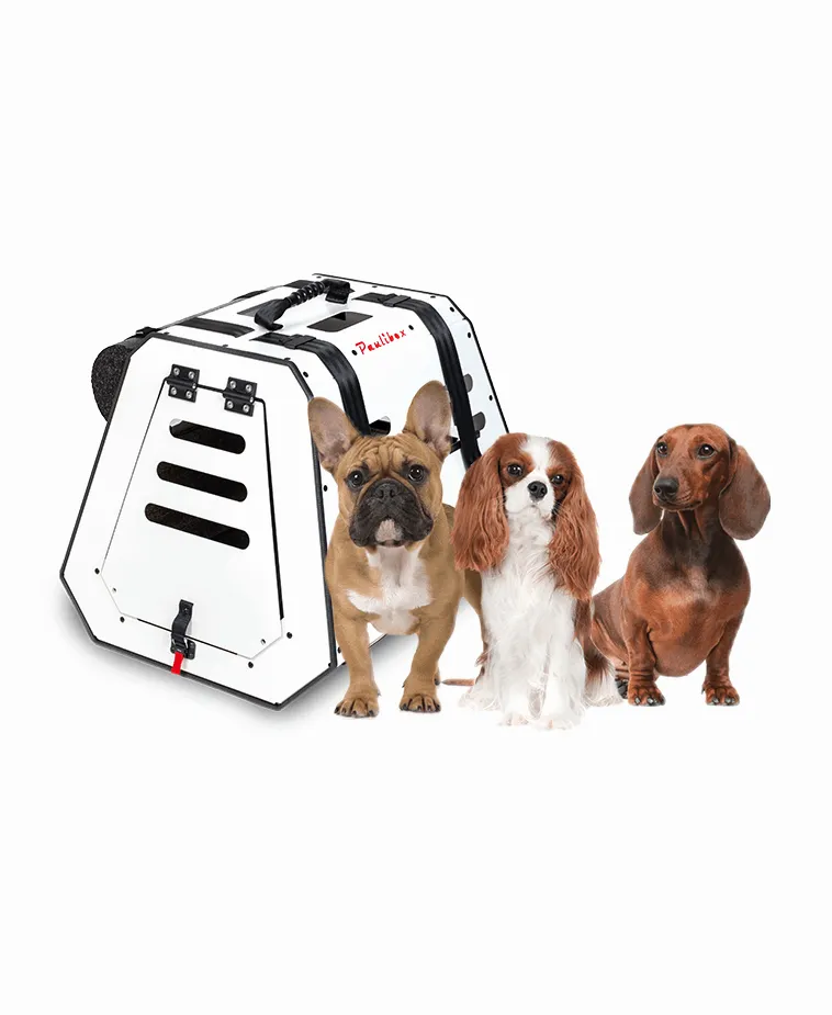 Paulibox M mit mittlere hunde — crashgetestete Hundetransportbox mit ISOFIX