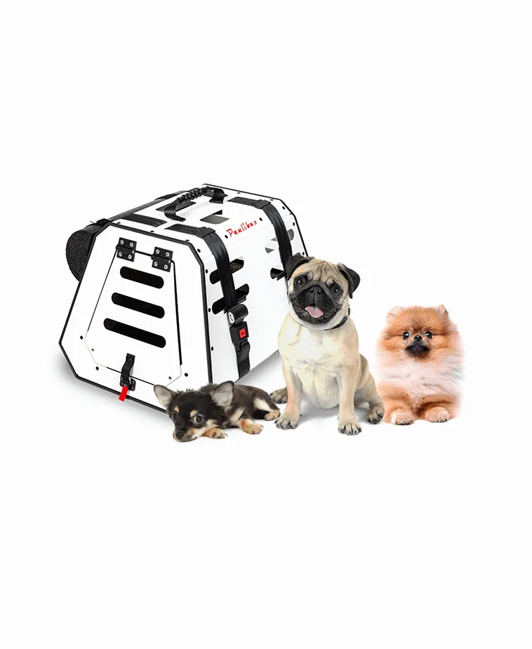 Paulibox S mit kleine hunde — crashgetestete Hundetransportbox mit ISOFIX