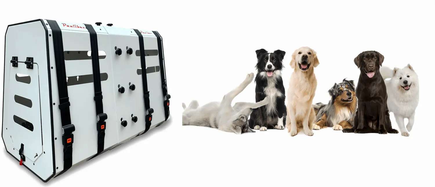 Paulibox XL mit sehr große hunde — crashgetestete Hundetransportbox mit ISOFIX