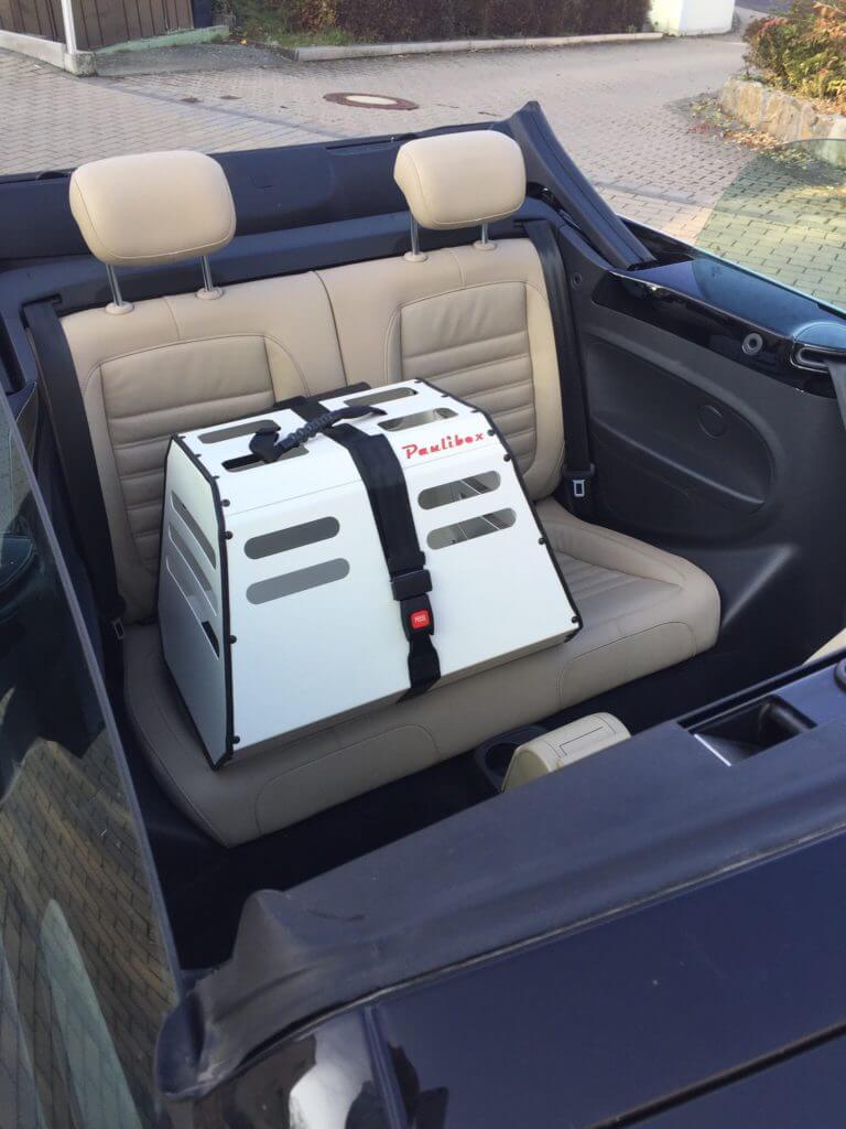 Dog carrier for the car backseat with Isofix Paulibox