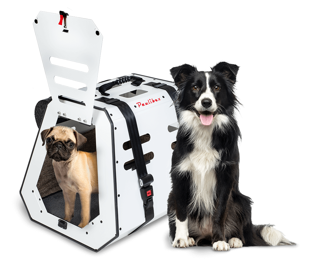 Hundebox Hunde Alu Auto Tranportbox Groß XL Aluminium Kofferraum